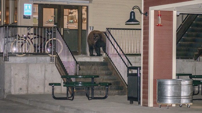 1*tZNa59UfFt0kvjS21m_dbw